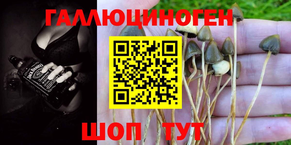 Псилоцибиновые грибы Magic Shrooms Благодарный